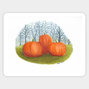 Pumpkins in a Field Sticker